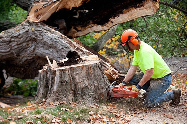 Best Firewood Processing and Delivery  in Creswell, OR